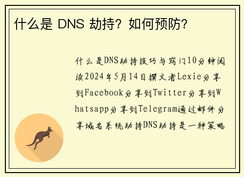 什么是 DNS 劫持？如何预防？